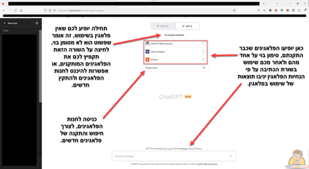 25 פרו גיידס
