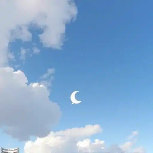 עדכון רחב במדיניות הקהילתית של Bluesky