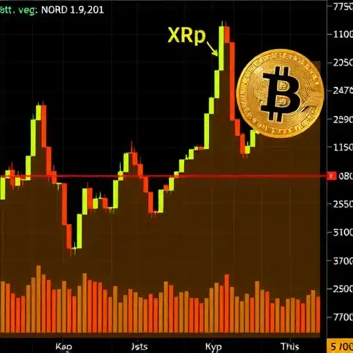 כיצד קרנות הנאמנות של XRP מצליחות להתבלט בתקופה של תנודתיות גיאופוליטית כיצד קרנות הנאמנות של XRP מצליחות להתבלט בתקופה של תנודתיות גיאופוליטית