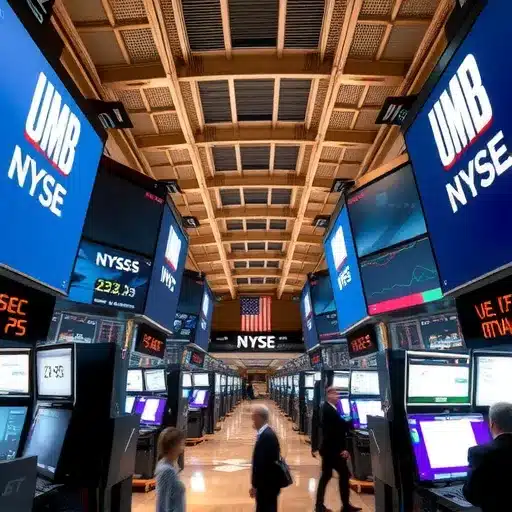 השקת קרן הסל IQMM של ProShares: מהפכה בשוק המטבעות היציבים השקת קרן הסל IQMM של ProShares: מהפכה בשוק המטבעות היציבים