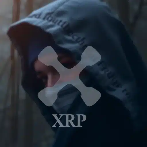 האם XRP הוא העתיד של הבנקאות או סתם עוד בנק עם קפוצ'ון? האם XRP הוא העתיד של הבנקאות או סתם עוד בנק עם קפוצ'ון?